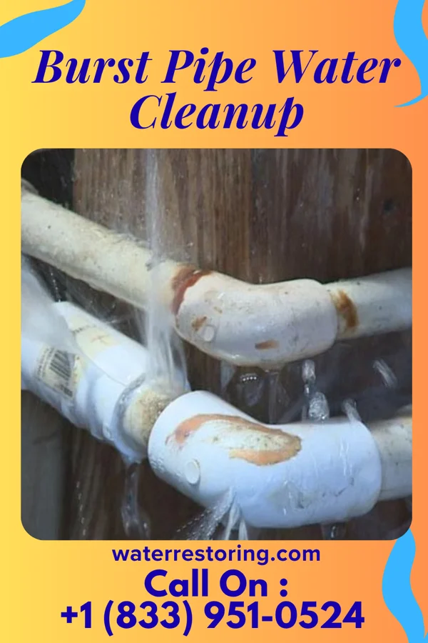 Burst Pipe Water Cleanup in Hoosick Falls, NY