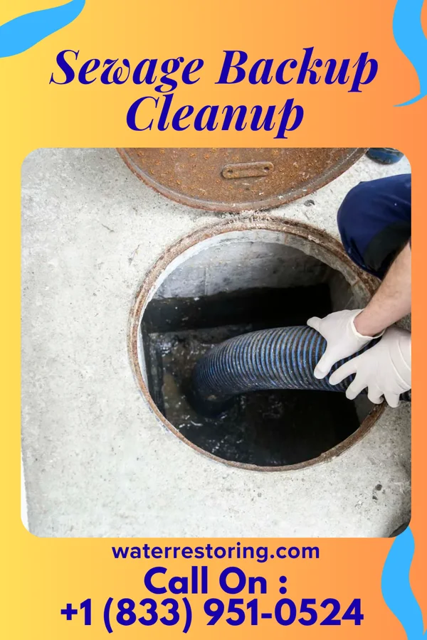 Sewage Backup Cleanup in Hoosick Falls, NY
